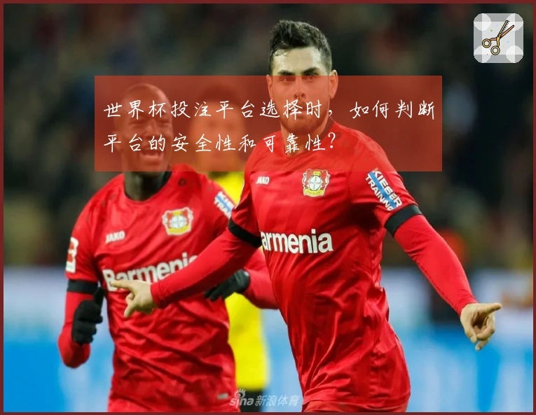 世界杯投注平台选择时，如何判断平台的安全性和可靠性？