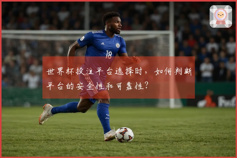 世界杯投注平台选择时，如何判断平台的安全性和可靠性？